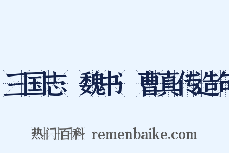 三国志·魏书·曹真传造句是什么意思的图片